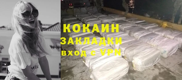 прущие грибы Верхний Тагил