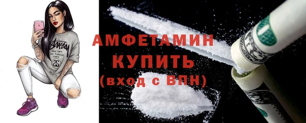 прущие грибы Верхний Тагил
