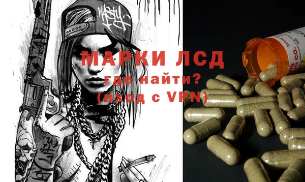 прущие грибы Верхний Тагил