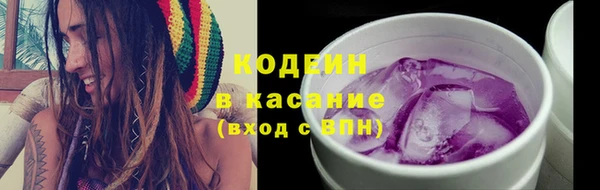прущие грибы Верхний Тагил