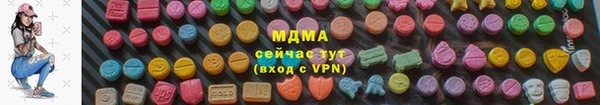 прущие грибы Верхний Тагил