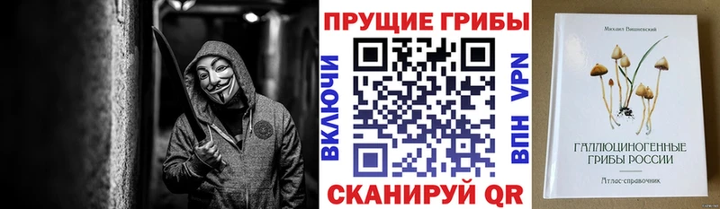купить закладку  площадка наркотические препараты  Псилоцибиновые грибы Psilocybine cubensis  Ростов 